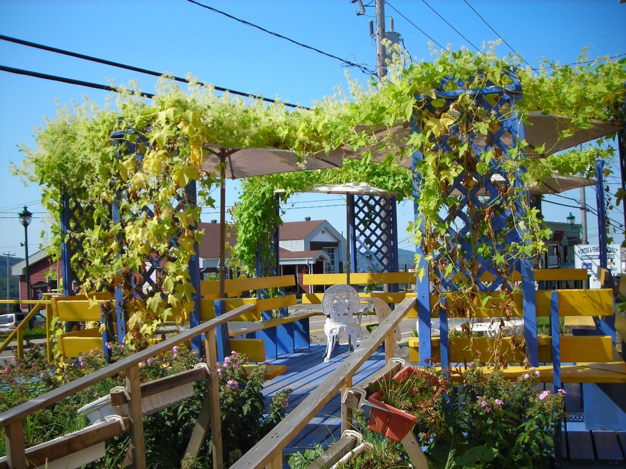 Gite Des Hauteurs Et Cafe De La Place Saint Zenon Exterior photo